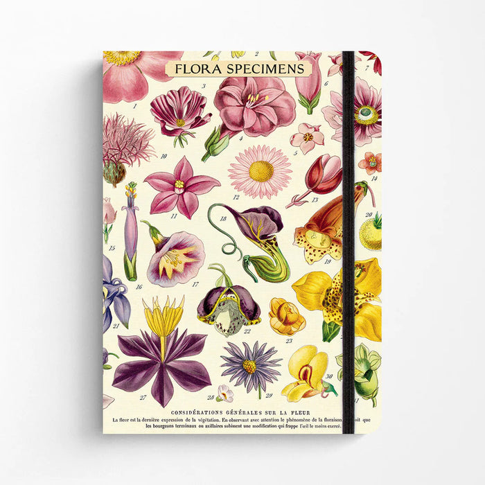 Floral Specimen Notebook