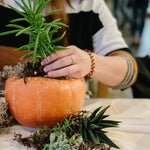 OCTOBER 26 • Succulent Pumpkin Planters with LaCott Fine Art