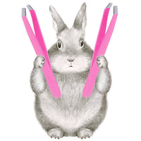 Unexpected Hares
