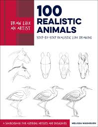 Draw Like an Artist Series Books