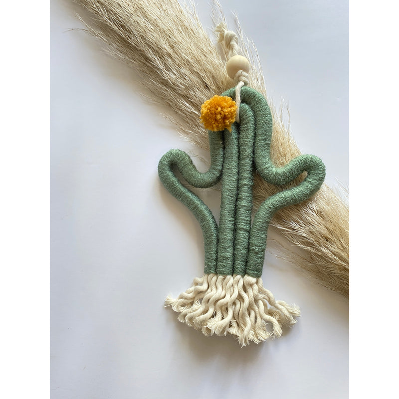 succulent wall hanging kit The Succulent Macrame Kit – MUSEjar