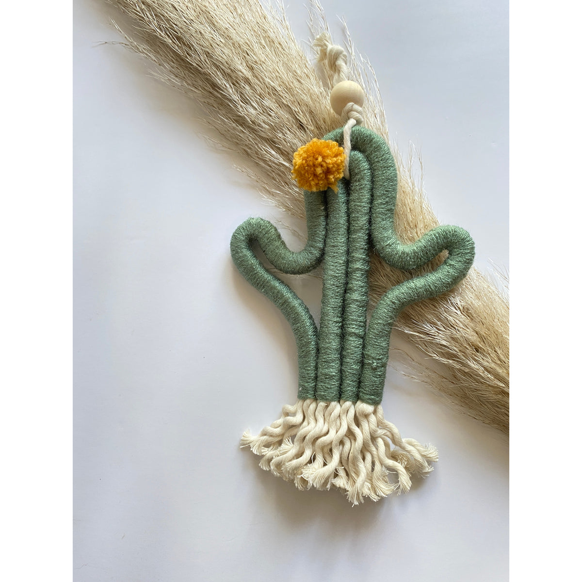 The Succulent Macrame Kit