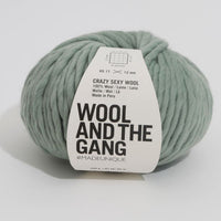 Crazy Sexy Wool