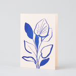 'Lily Study" Letterpress Card