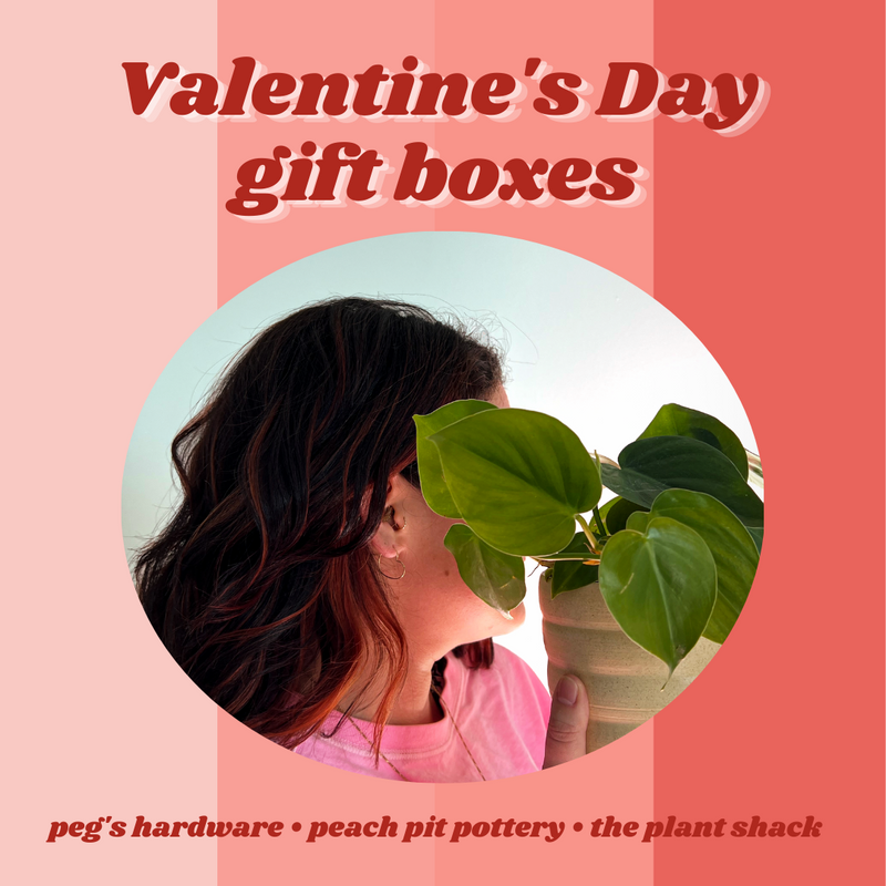 Valentines Day Box